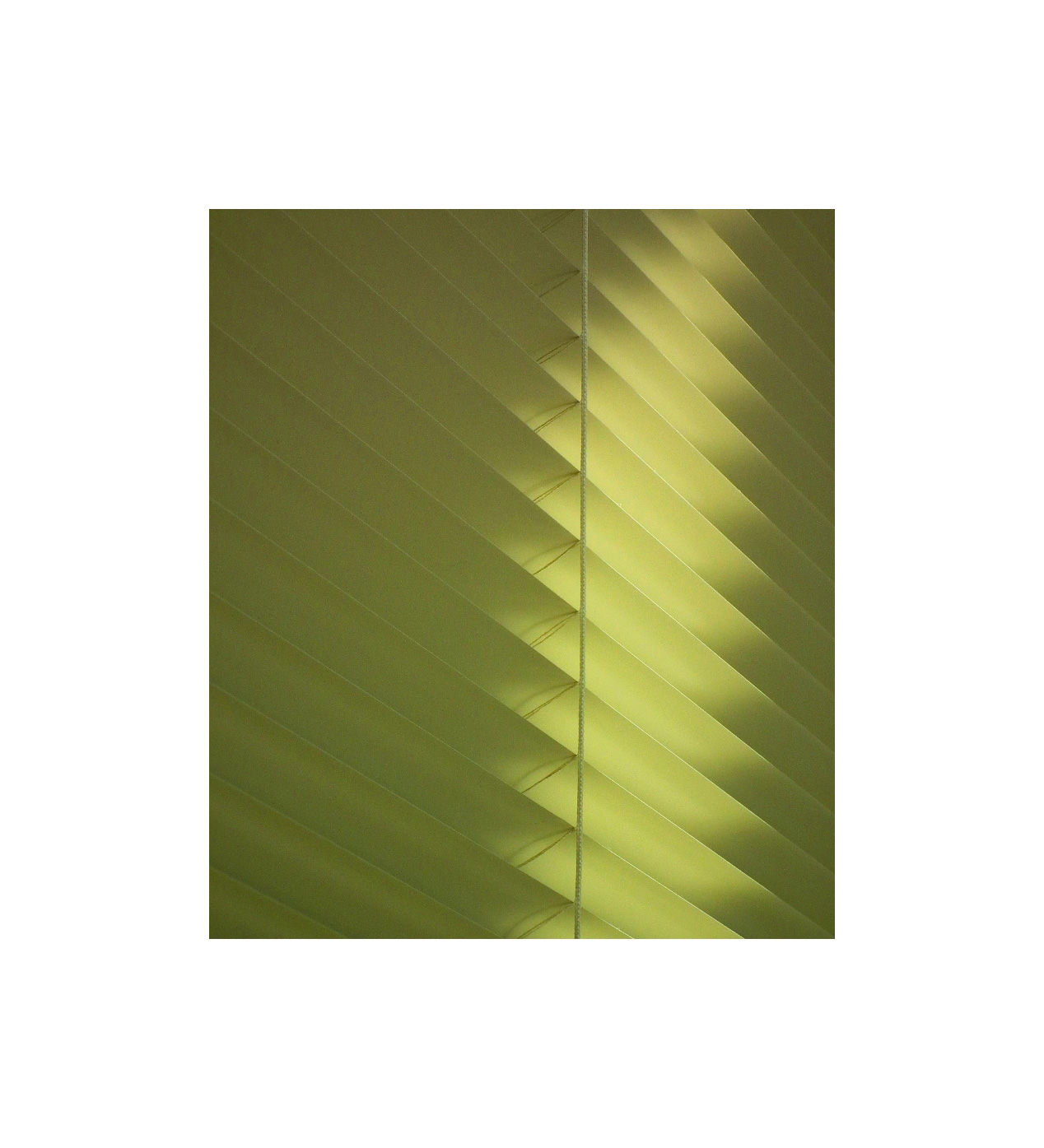 product-image5